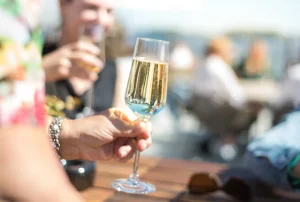 cheers-champagne-people-4149522